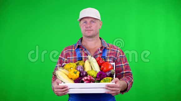 穿格子衬衫戴帽子的男农民微笑着拿着一个盒子盒子里放着不同的新鲜蔬菜颜色鲜艳绿色的背景视频的预览图