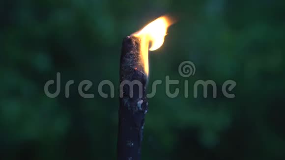 小火焰从木棍上点燃映衬在绿油油的背景上视频的预览图