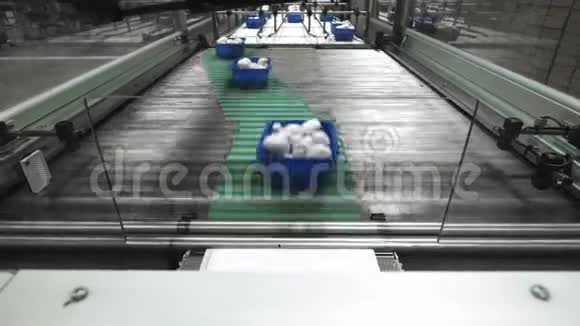 蘑菇生产生产线用蘑菇包装容器蓝色容器沿着传送带移动有机有机视频的预览图