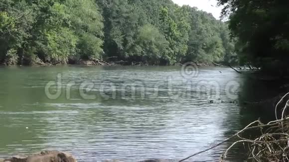 乔治亚州阿伯茨桥公园横跨查塔胡奇河上游的一个平底锅视频的预览图