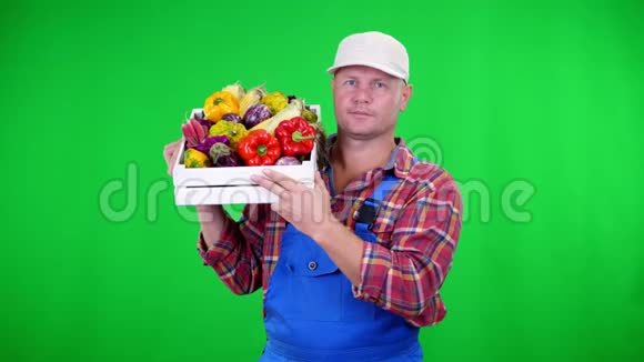 穿格子衬衫戴帽子的男农民微笑着拿着一个盒子盒子里放着不同的新鲜蔬菜颜色鲜艳绿色的背景视频的预览图