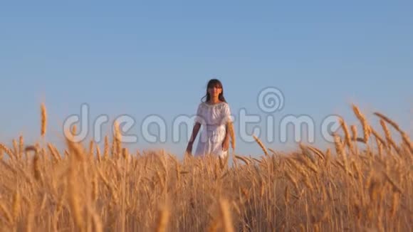 在成熟的麦田里美丽的女孩穿着白色的裙子在蓝天的映衬下慢悠悠地起舞视频的预览图