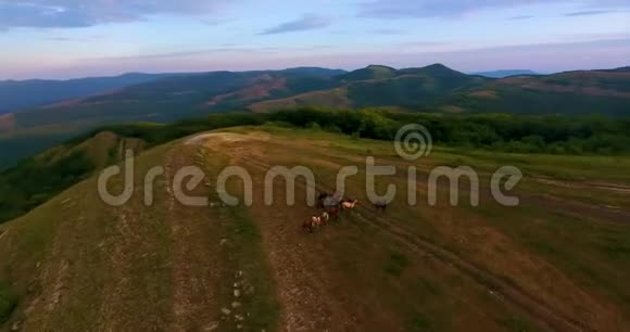 空中全景图片丘陵景观和一群野马在黎明时在无边无际的天空下放牧视频的预览图