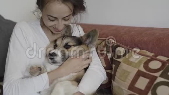 幸福微笑的女人和她可爱的威尔士科吉狗躺在家里的沙发上的肖像美丽的黑发女性视频的预览图