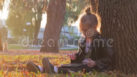 日落时分带着石碑的小女孩坐在秋天公园的一棵树下视频的预览图