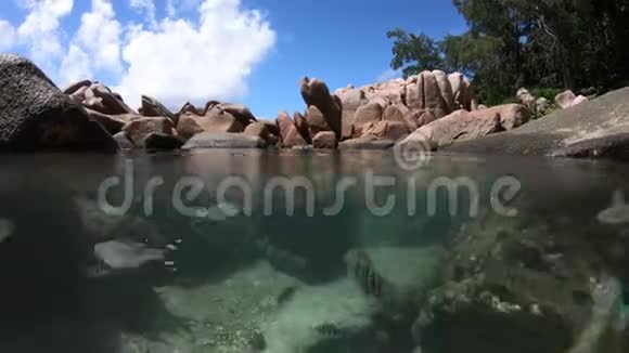 凯曼自然池分景海视频的预览图