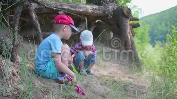 两个孩子在一棵大树附近玩耍针叶树的根长在地球外美丽的夏日风景视频的预览图