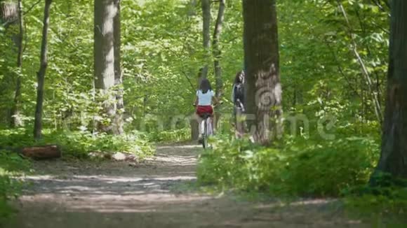 两个家庭沿着小路走到公园的灌木丛夏日后景视频的预览图