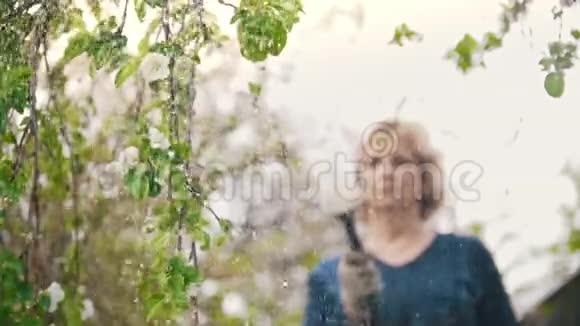用水管浇灌苹果树的树枝夏天在花园里视频的预览图