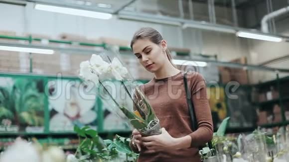 漂亮的年轻女人采摘带有兰花的盆栽花并嗅着它带有绿色植物的百货公司用于家庭装饰视频的预览图