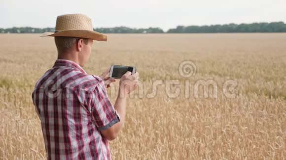 农民拍摄小麦作物产量照片视频的预览图