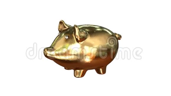 金币和银币掉进金猪库里3D动动画视频的预览图