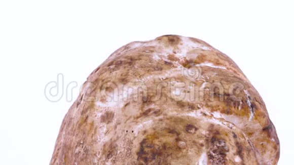 一个白色松露蘑菇皮的宏观旋转在转盘上隔离在白色背景上视频的预览图