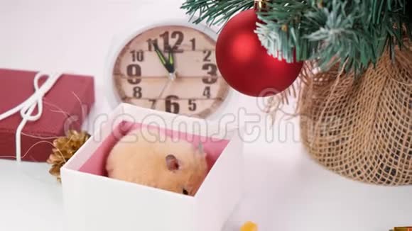 新年快乐2020年新年的象征是白色或金属银鼠老鼠从礼品盒里爬出来惊喜视频的预览图