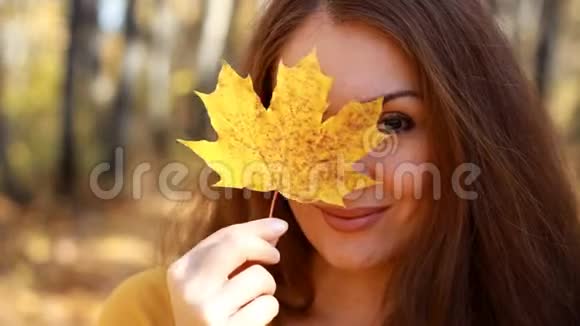 美丽的女人手里拿着枫叶在秋天阳光明媚的日子里在森林里有着黄色和金色的叶子视频的预览图