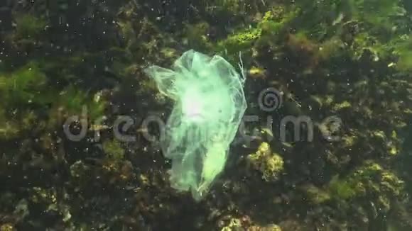 垃圾在水中聚乙烯袋杀死海洋动物螃蟹死亡视频的预览图