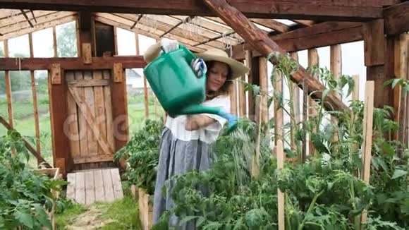 穿着草帽和连衣裙的时髦快乐的年轻女子在温室里浇灌庄稼视频的预览图