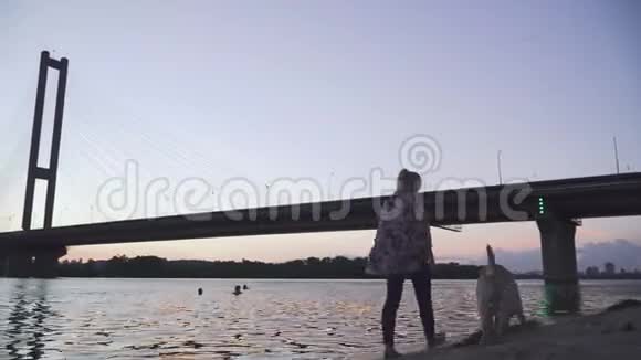 美丽的女孩和一只狗沿着河走视频的预览图