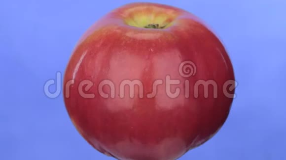 旋转一个红色成熟的苹果分离在蓝色上视频的预览图