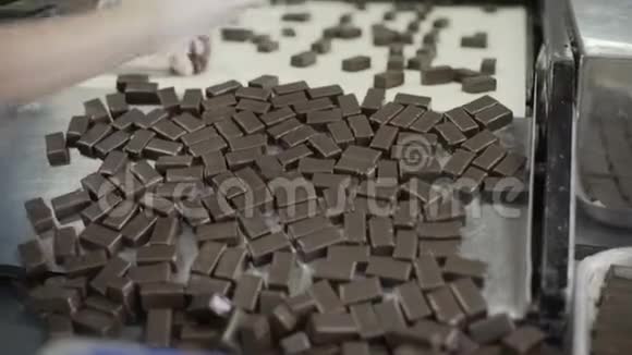 生产巧克力的生产线巧克力覆盖的糖果糖果沿着传送带移动全景视频的预览图