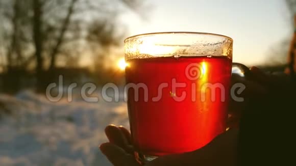 在阳光下的公园里冬天女孩拿着玻璃杯和热茶雪林中寒冷的药用咖啡视频的预览图
