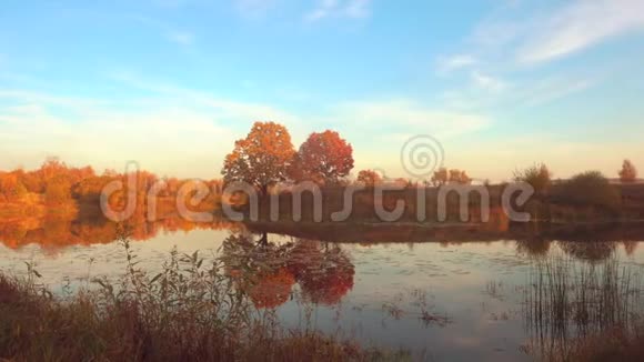 美丽的秋景平静的水和树木视频的预览图
