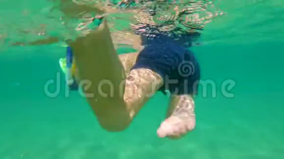 4k水下拍摄一个可爱的小男孩带着面具和管子在热带海洋中潜水有很多热带鱼视频的预览图