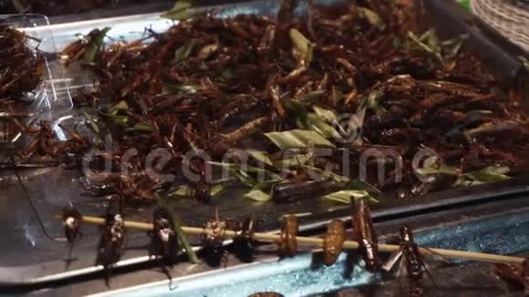 正宗泰国传统昆虫小吃在亚洲街夜市出售泰国菜视频的预览图