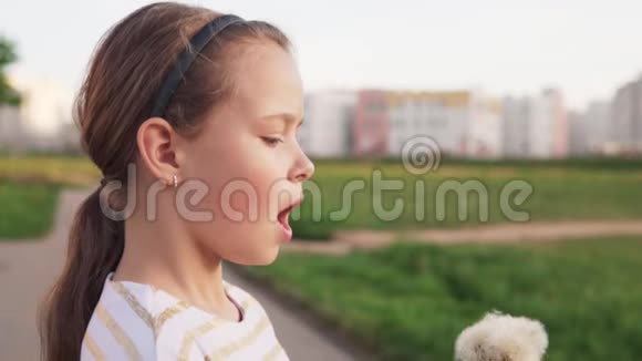 夏天可爱的小女孩在城市草坪上吹蒲公英视频的预览图