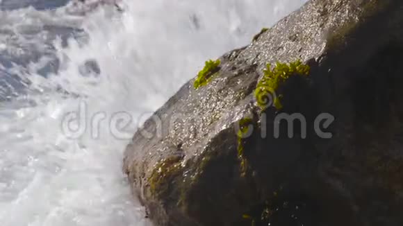 潮汐运动用海藻溅到石头上跳海藻舞智利阿尔加罗博视频的预览图