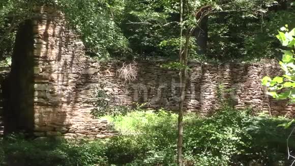 佐治亚州索普溪夏天一个平底锅在索普溪附近的造纸厂的更多废墟上视频的预览图