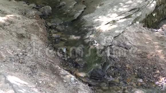 佐治亚州索普溪夏天一条流入索普溪的小溪的近景视频的预览图