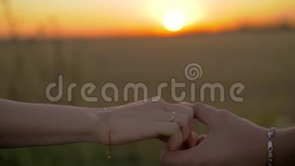 亲密的两个情人携手男人和女人在日落背景上牵手的细节轮廓视频的预览图