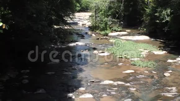 佐治亚州索普溪夏季从桥上俯瞰索普溪上游视频的预览图