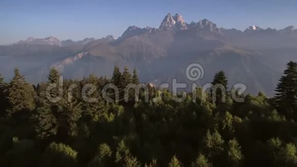 空中观景台在一个阳光明媚的早晨飞过山谷的绿色森林视频的预览图