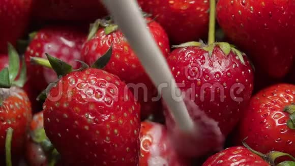 把牛奶倒入盛满草莓的碗里美味的生果视频的预览图
