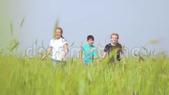 三个快乐的孩子在夏天的草地上奔跑视频的预览图