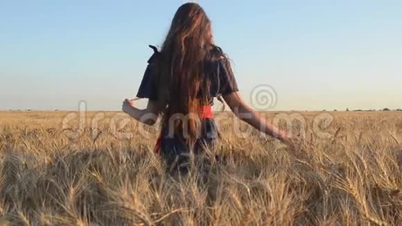 年轻女孩走在成熟的小麦里视频的预览图