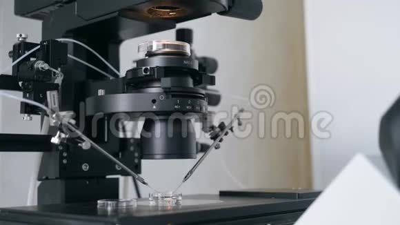 显微镜医疗机构的实验室视频的预览图