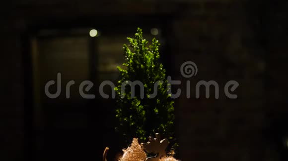 黑暗背景下的小绿圣诞树框架装饰圣诞树的特写在木制的袋子里视频的预览图