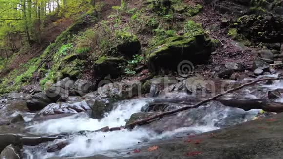 水晶山流喀尔巴阡山脉潮湿的摩丝石视频的预览图