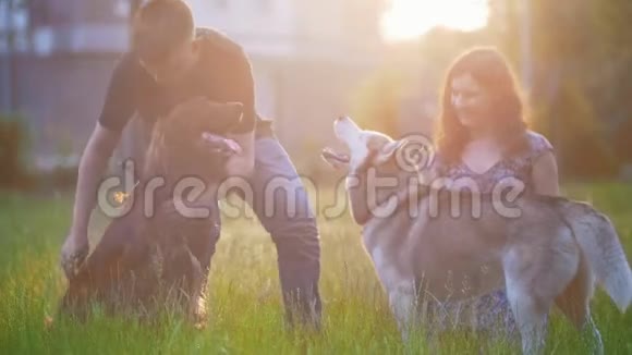 夏天日落时带着狗的年轻夫妇在户外草地上休息视频的预览图