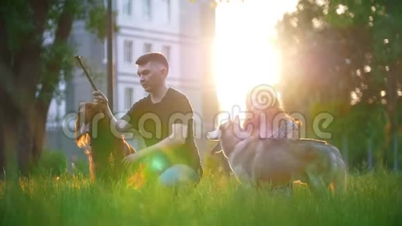 爱的夫妻和他们的狗在户外休息在日落时扔一根棍子给狗视频的预览图