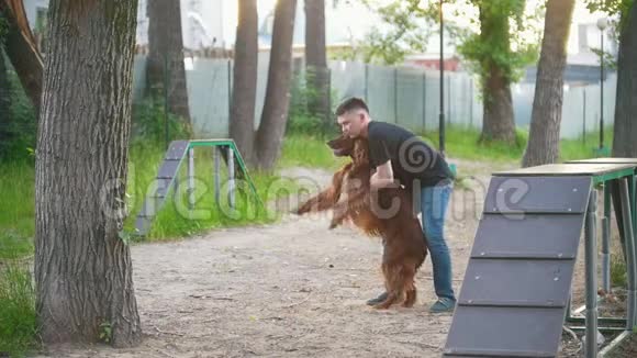 在夏日公园的操场上快乐的年轻人抱着一只红色爱尔兰塞特犬旋转视频的预览图