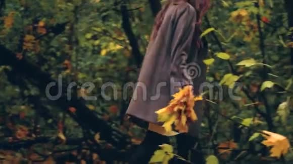 美丽的年轻孕妇在秋天公园散步收集落叶视频的预览图