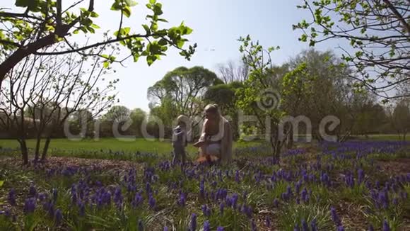 春天年轻的母亲和一个小男孩儿子在麝香球场玩耍和交谈阳光明媚的一天葡萄风信子里加视频的预览图