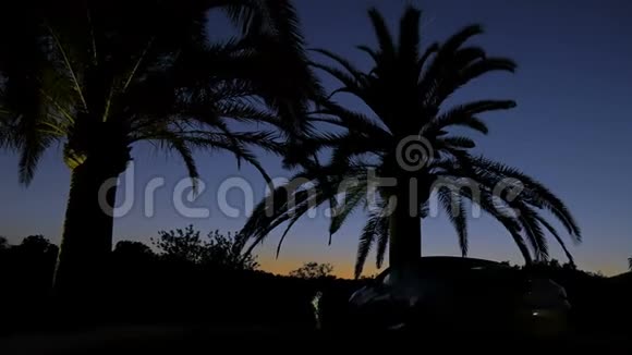 黑色的棕榈树在夕阳的天空背景上剪影黄色和蓝色的壮丽日落景色视频的预览图