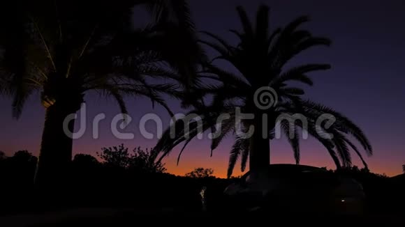 黑色的棕榈树在夕阳的天空背景上剪影橙色和紫色的壮丽日落景色视频的预览图