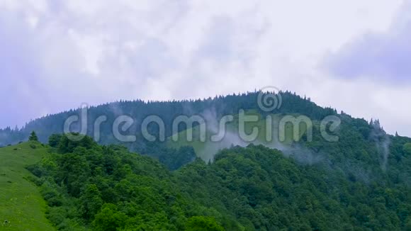乌克兰喀尔巴阡山脉雨后雾视频的预览图