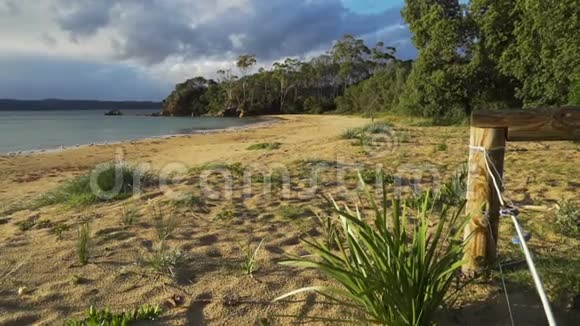 日出时澳大利亚伊甸园的检疫湾晨光视频的预览图
